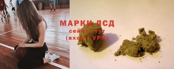 хмурый Инта
