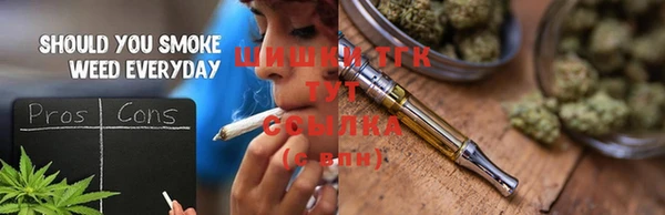 хмурый Инта