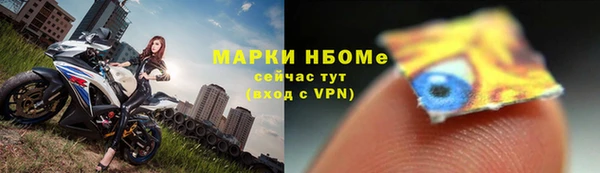 хмурый Инта
