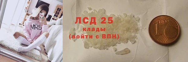 гидра Инсар
