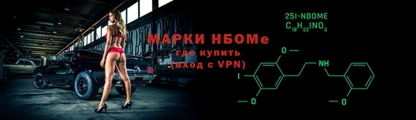 хмурый Инта