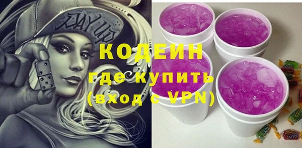 гидра Инсар