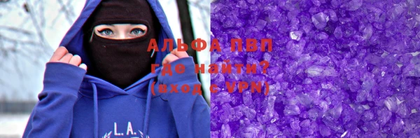 гидра Инсар