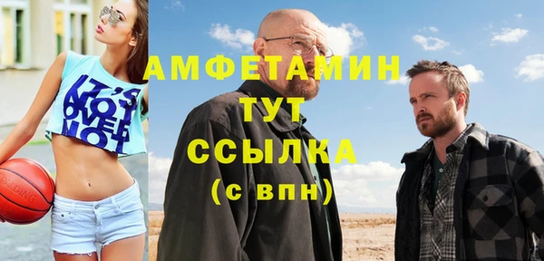 гидра Инсар