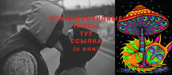 гидра Инсар