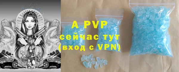 гидра Инсар